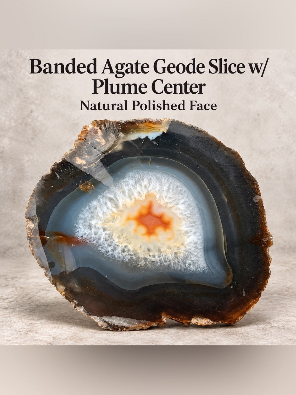 Banded Agate Geode Slice w/ Plume Center – Natural Polished Face